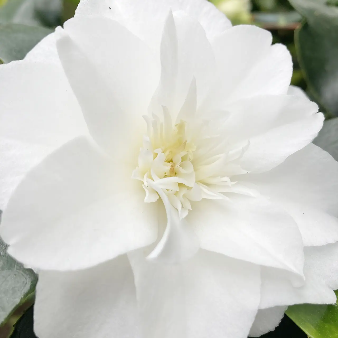 IMG_20250518_135102_481